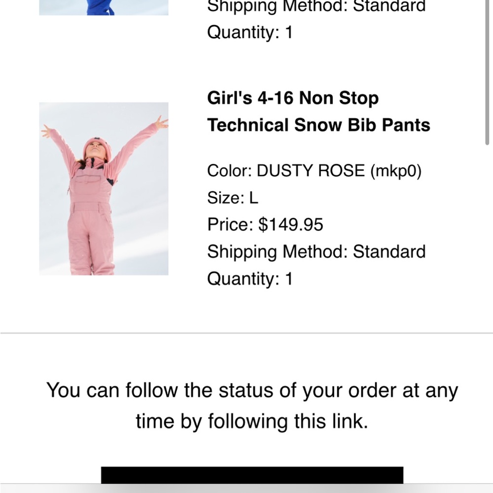 Roxy Technical Non Stop Snow Bibs